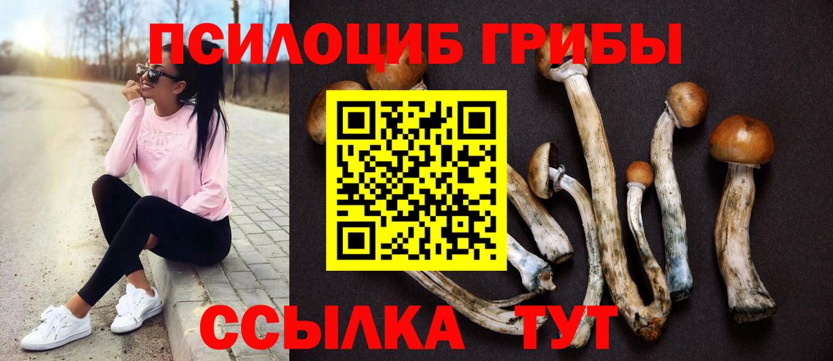 Камень-на-Оби  Псилоцибиновые грибы Magic Shrooms  Вход с VPN 