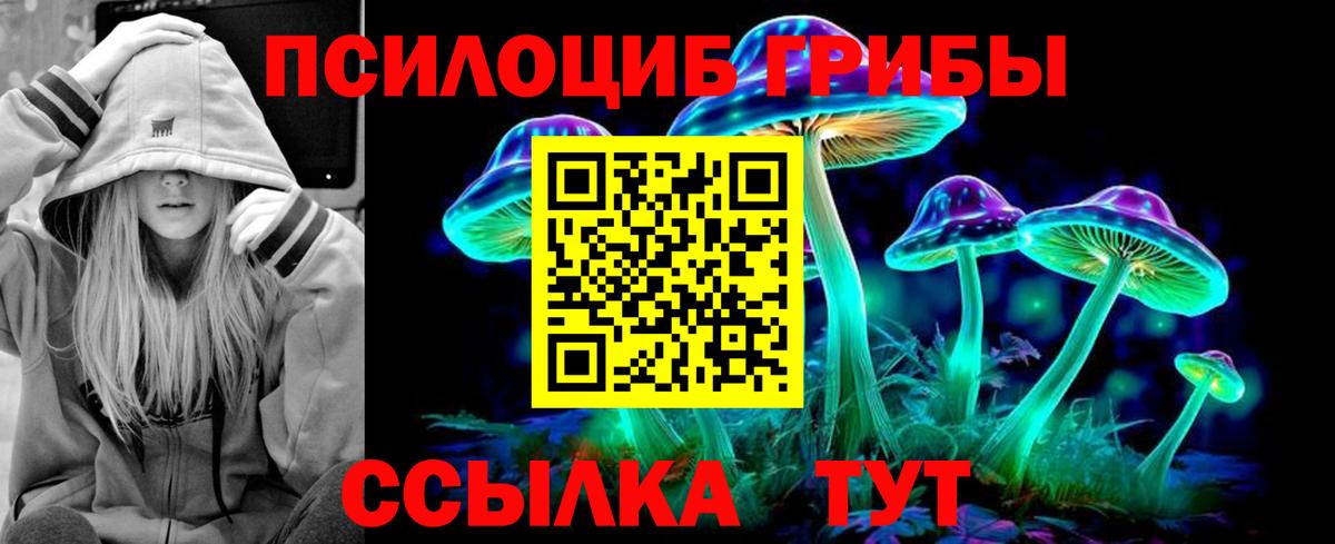 Псилоцибиновые грибы ЛСД Камень-на-Оби